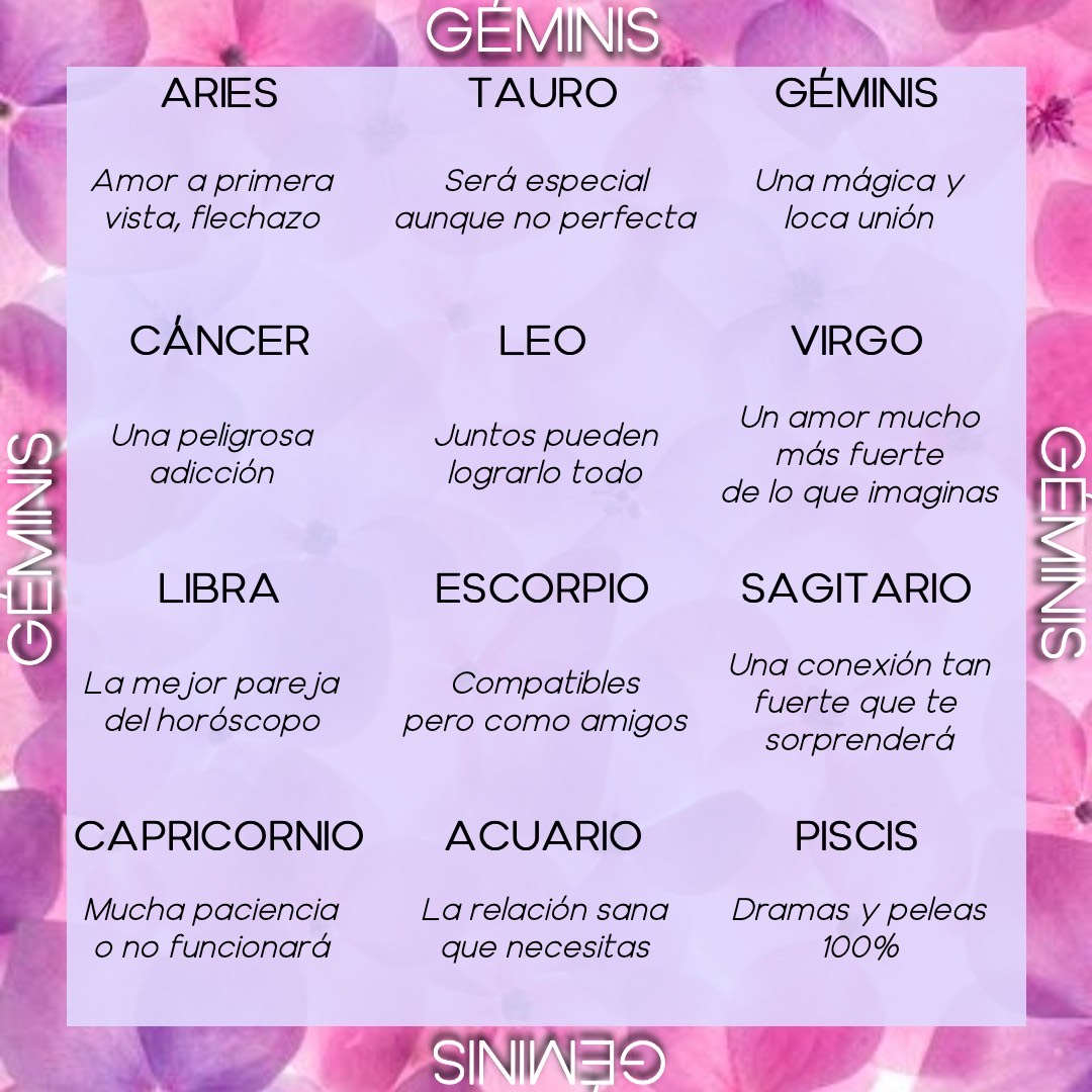compatibilidades geminis